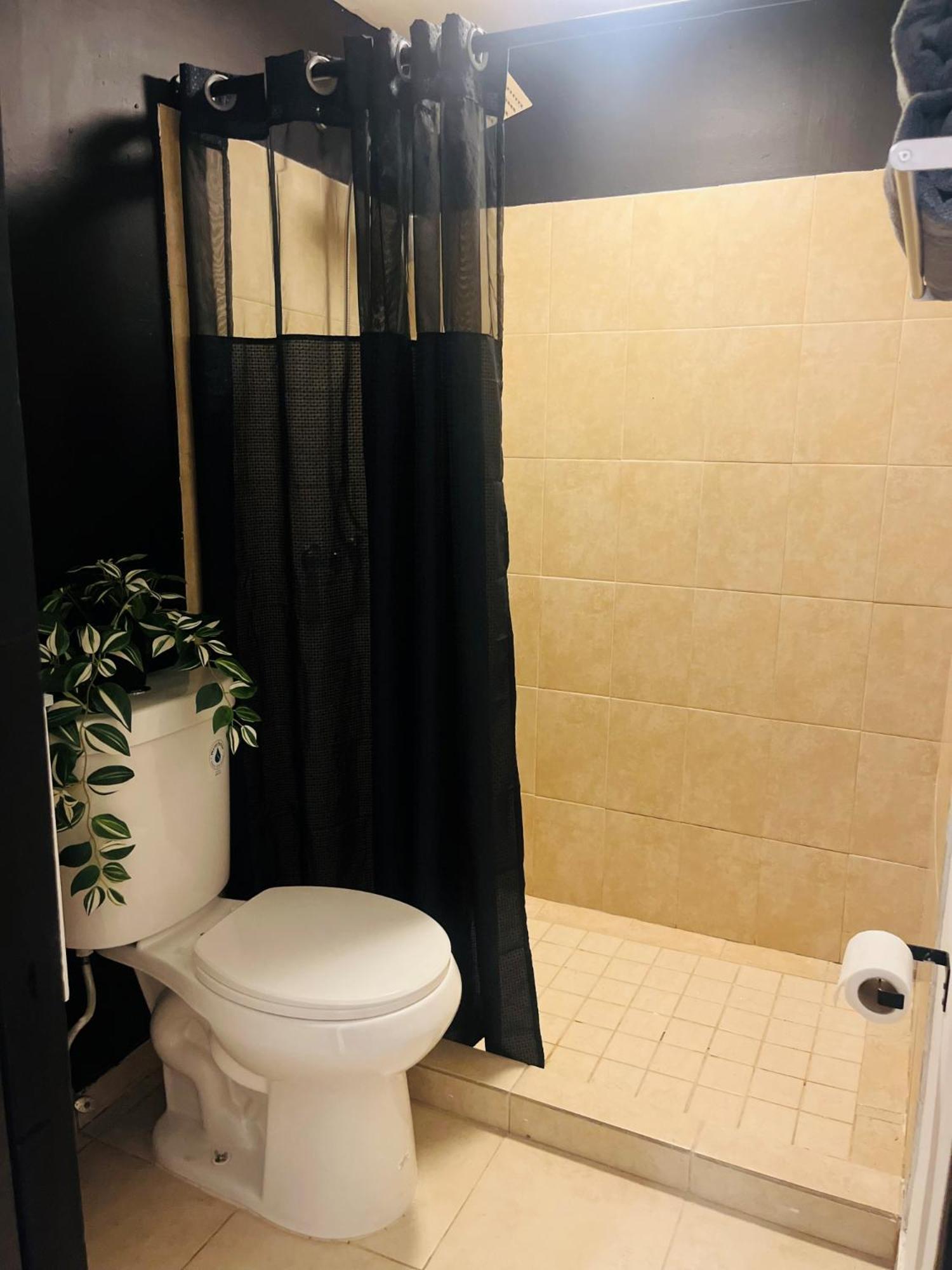 Central San Juan Studio Dış mekan fotoğraf